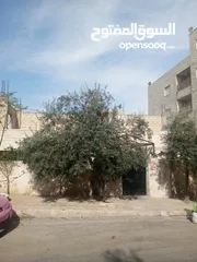  5 منزل للبيع