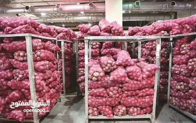  2 يتوفر 1000طن من البصل في الهند جاهزة للتوريد الى اي دولة خليجية (1000 tons of onions are available )