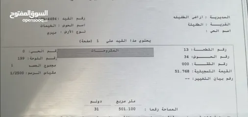  1 ارض للبيع في محافظة الطفيله