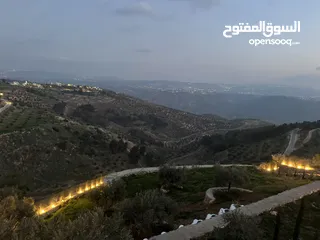  2 مزرعة مميزة في جرش مع بيت طابقين بسعر مميز للبيع
