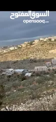  1 نمره ارض مميزه وبسعر مغري