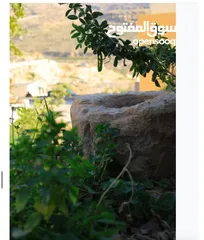  22 3،400دونم ماحص وادي شعيب الفحيص  استخدام سياحي سكني زراعي يكمن شقة قبول شقة  عمان الغربيه من ثمن