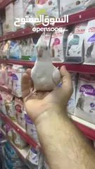  13 البينو كوكتيل أبيض جامبو أليف جدا
