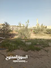  2 بيت طابقين للبيع