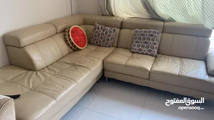  1 urgent sale home centre sofa