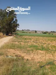  7 مزرعة للبيع في سيدي السائح