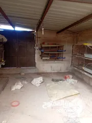  7 بياضات دجاج ومعالف ومشارب  واقفاص طابقين  للفري وطباق  بيض فري للفقاسات ايطالي للبيع بحاله ممتازه