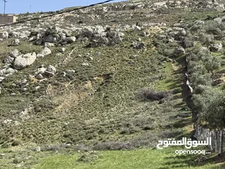  25 ارض للبيع قرمية حسبان 3100 متر لكامل القطعة قابل للأقساط