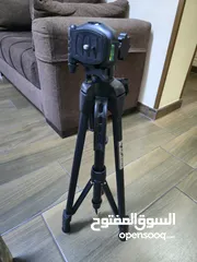  9 canon 250D