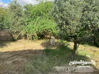  12 منزل مستقل للبيع