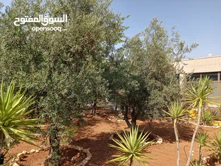  6 منزل شبه فيلا للايجار يصلح لعمل حضانه او روضه او مركز تحفيظ قرآن او شركه والعديد من الأعمال التجاريه