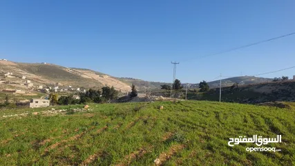  2 من المالك الكمشه الميدان اسكان المهندسين 500 م جميع الخدمات مستويه اطلاله مميزه