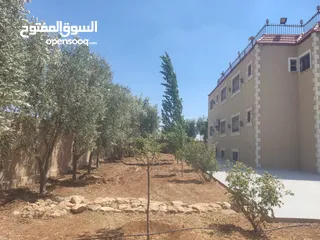  15 مادبا حواره مزرعه للبيع