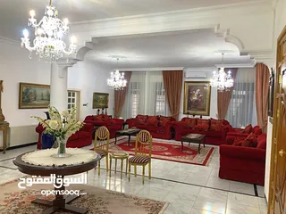  20 للبيع  فيلا مستقلة في منطقة الكرسي على مساحة أرض دونم و 320 م
