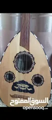  1 عود عربي للبيع