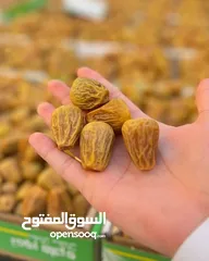  23 تمور من السعوديه إلى الاردن