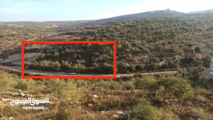  17 القبة الذهبية  اراضي بلعا دير الغصون