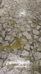  11 جبنة غنم مغلية بالمستكه والمحلب والقزحه