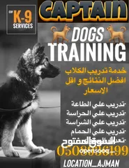  1 خدمة تدريب الكلاب آفضل النتآئج و آقل الأسعار
