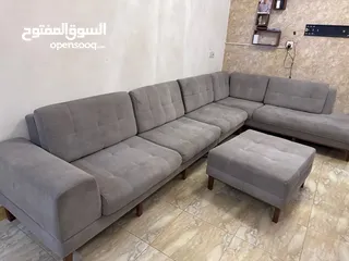  1 تخم مستخدم