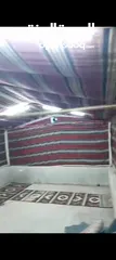  11 خيمه كتان سعودي نظام خليجي
