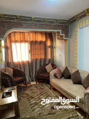  55 شقق مفروشة ديلوكس وسوبر ديلوكس للإيجار اليومي في اربد شارع الجامعة اسعار تبدأ من 20 دينار