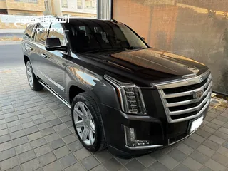  7 2015 Cadillac Escalade 1 owner GCC