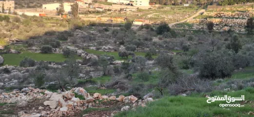  21 800متر طابوا فلسطيني في اجمل موقع بالكفريات واطلالة مميزةمنطقة( b)صالحة للبناء