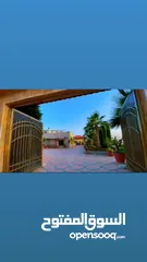 28 مزرعه للايجار في جبال جرش VIP
