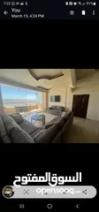  3 شقه مفروشه للابجار الزرقاء الجديده