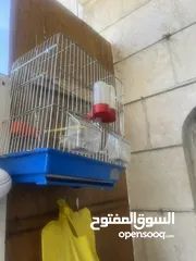 2 ‏قفاص للبيع
