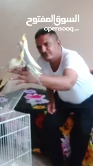  4 كوكاتيل اليفين جداا
