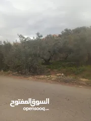  14 القبة الذهبية  شارع بلعا-دير الغصون