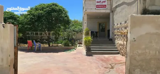  12 بيت طابقين