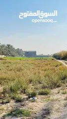  1 ارض 600م زراعي قابل للتقطيع في هور رجب