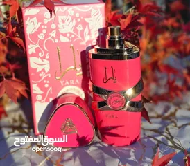  7 عطر يارا كاندي احدث اصدار من عطور يارا عطر زاهري فواكه جورماند النساء  قلب العطر الحلوي..