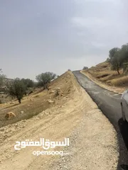  9 ارض زراعيه للبيع في اجمل مناطق العالوك