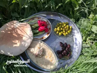  5 كشك على الأصول  كشك أكلة ملوكية شتويه