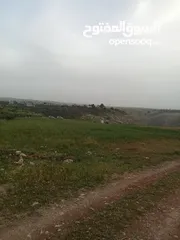  16 ارض سكنيه قرب مثلث حور فوعرا للبيع بسعر مغري