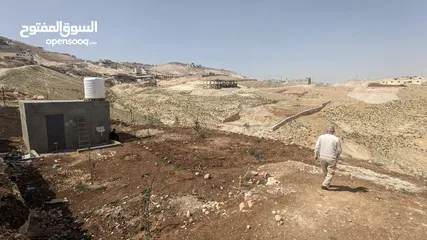 3 ارض مميزة محفورة بسعر مناسب