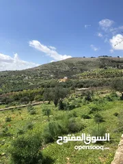  6 ارض زراعيه للبيع جنب معصره وادي شعيب مطله على الفحيص و ماحص ( مرتفعه )