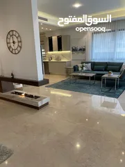  17 Furnished Apartment to Rent 234sqm ( Property 15907 )-174813664