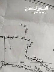  1 جاد البرغوثي