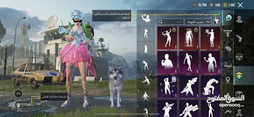  8 حساب ببجي عالمية لفل 74