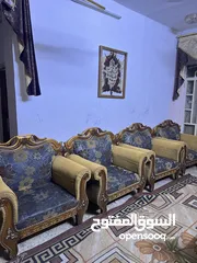  3 تخم عشر قطع للبيع