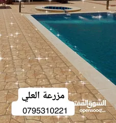  5 مزرعة و شالية للبيع