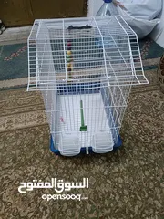  1 قفص عصافير