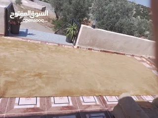  2 موكيته طول 11 متر  وعرض مترين استخدام اقل من سنه وتبارك الرحمن الرحيم  جبتها