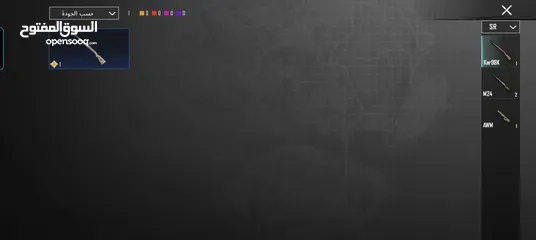  21 حساب ببجي للبيع 13