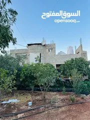  1 ابونعيم عمر